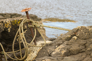 Island Ties
