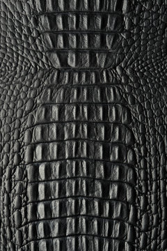 Croco schwarz