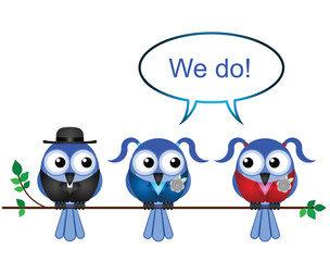 Representation of female same sex marriage