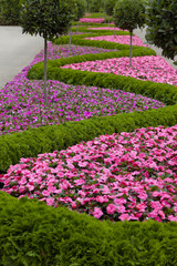 exotic garden detail