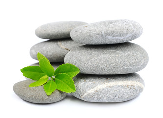 Fototapeta na wymiar green leaf and zen stones