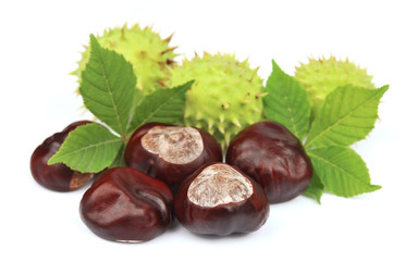 Groups of chestnut nuts