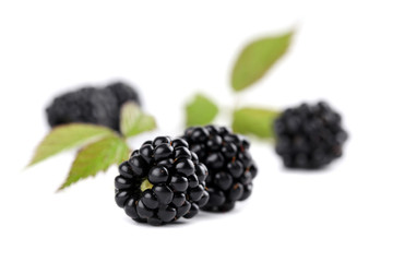 Blackberries