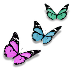 Fototapeta na wymiar Three butterflies, isolated on white