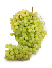 grape