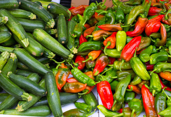 Colorful green and red peppers and zucchini