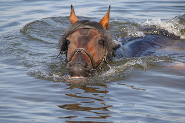 in water