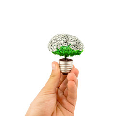 eco concept light bulb with plant inside