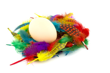 egg on colorful feathers isolated on white background