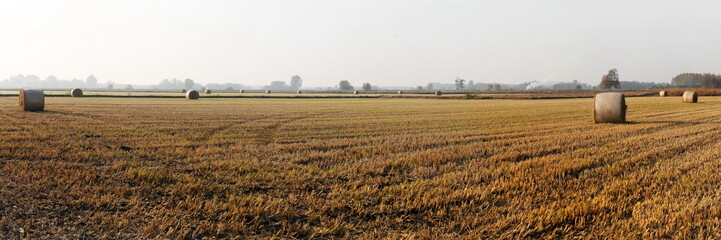 countryside after harvest during autumn season