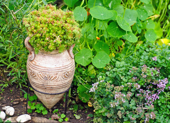 Amphore im mediterranen Garten
