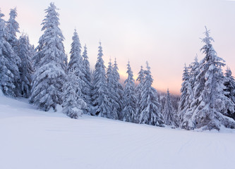 Fototapeta premium Beautiful winter landscape in the mountains. Sunrise