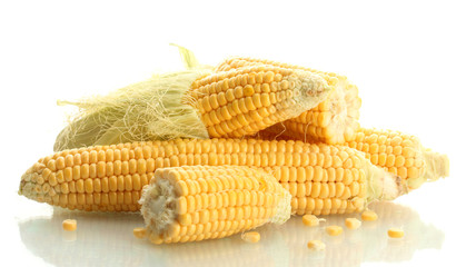 fresh corn, isolated on white