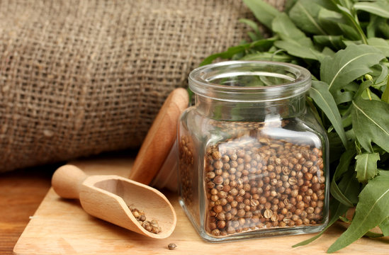 Jar of coriander seeds with rocket on canvas background