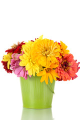 bouquet of beautiful summer flowers in bucket, isolated on