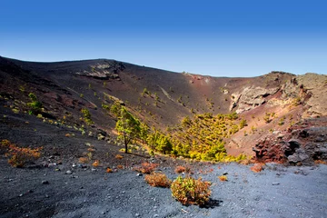 Foto op Canvas Crater La Palma San Antonio volcano Fuencaliente © lunamarina