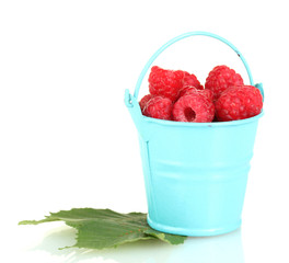 Fresh raspberries in blue bucket isolated on white