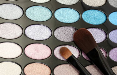 shadow kit with brushes for make-up