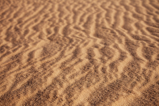 abstract sand background with sunlight and grass in desert