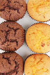 Fresh muffins close-up