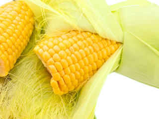An ear of corn macro