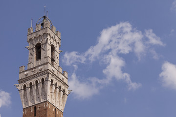 Obraz premium Torre del Mangia, Siena.