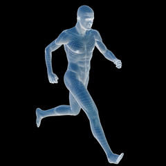 High resolution 3D human ideal for anatomy,medicine and health