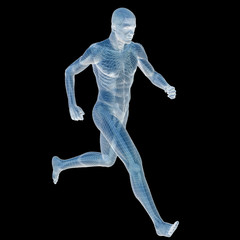 High resolution 3D human ideal for anatomy,medicine and health