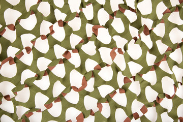 Camouflage net isolated © michaklootwijk