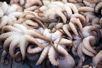 octopuses