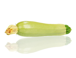 Vegetable marrow