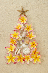 Christmas tree made of sand, frangipani and shells.