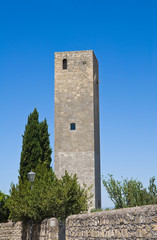 Fototapeta na wymiar Wieża i Pole Cialdi. Tarquinia. Lacjum. Włochy.