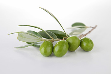 green olive