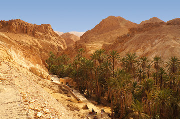 Panoramic view of the Chebika oasis in the desert of Tunisia