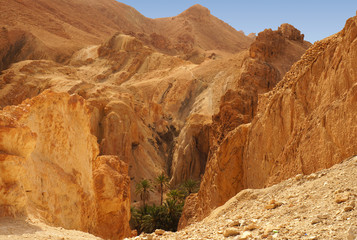 Panoramic view of the Chebika oasis in the desert of Tunisia