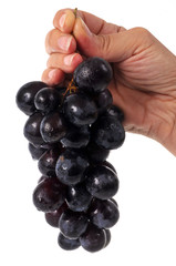 Une grappe de raisin noir