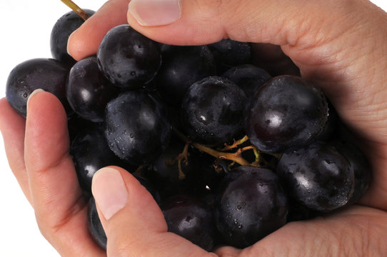 Grappe de raisin noir