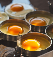 fried egg