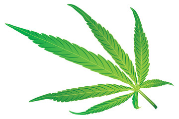 WEB ART DESIGN CANNABIS LEAF FEUILLE VECTOR 200
