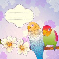 Parrots on a branch of orchids