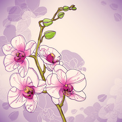 Branche de vecteur d& 39 orchidées