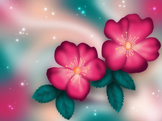 Color illustration of flowers