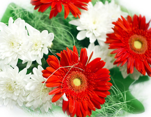 white and red flowers with green decor photo