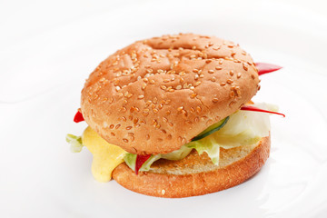 burger on the white
