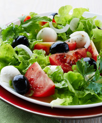 Mediterranean-style salad with mozzarella