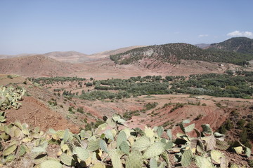 Désert de l'Atlas au Maroc