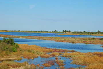 The pond of San Teodoro - Sardinia - Italy - 636