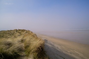 beach in the mist