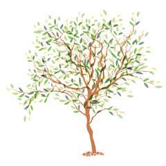 Obraz premium Tree. The trunk and leaves in separate layers. Vector illustrati